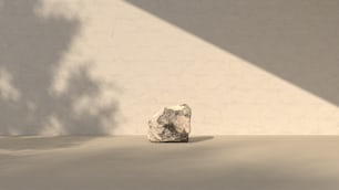 a rock sitting in the middle of a room
