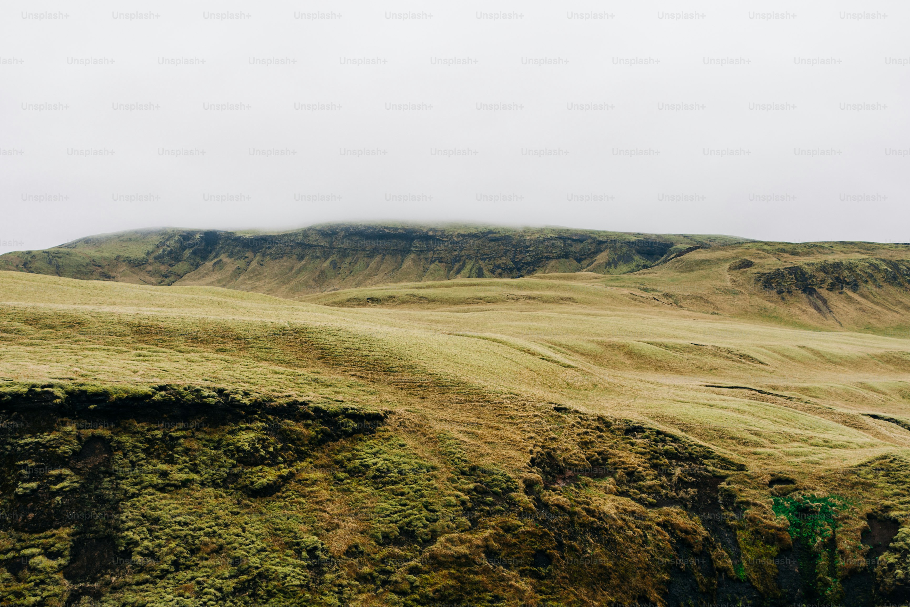 山を背景にした草原