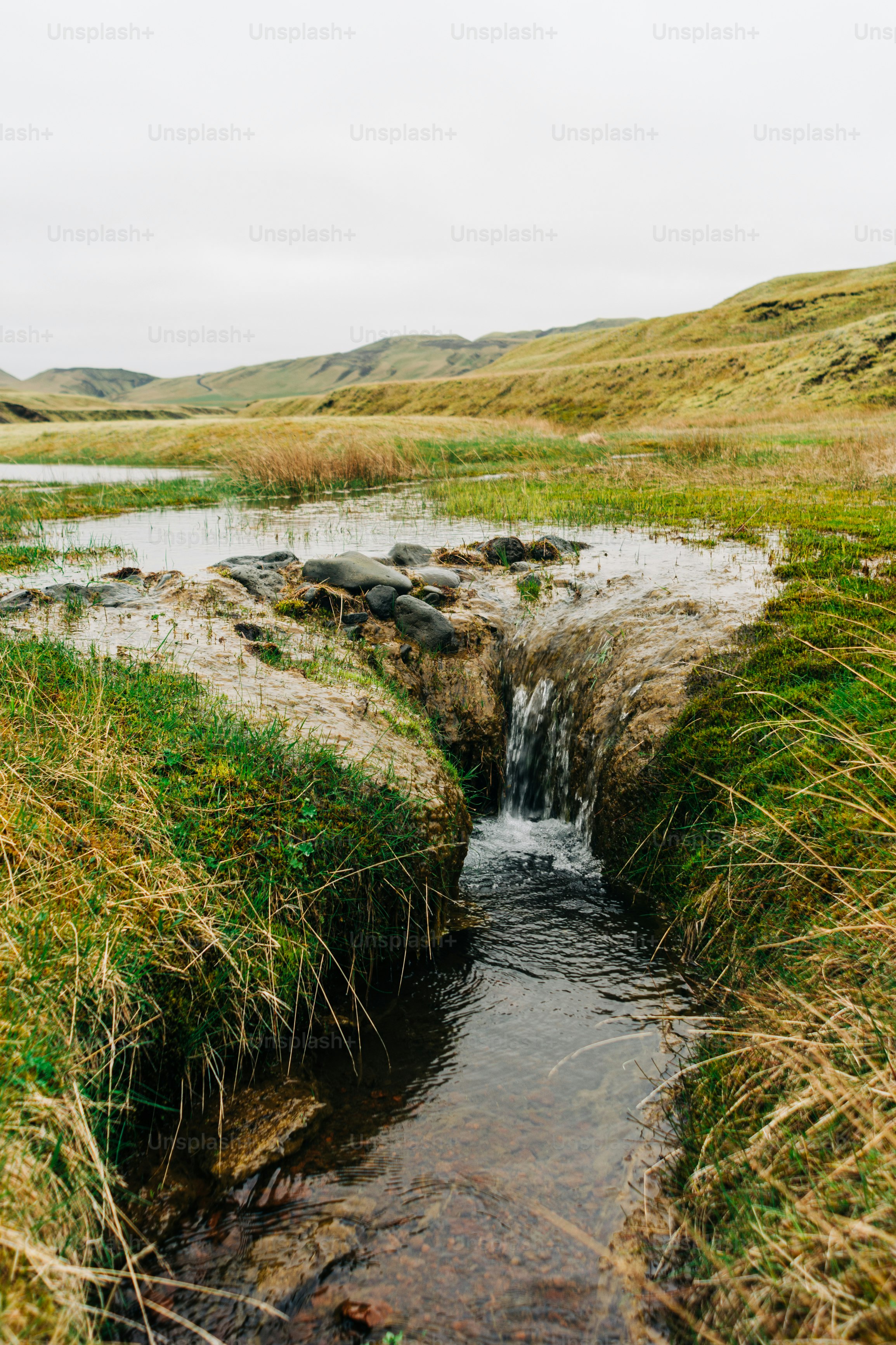 a stream running through a grass covered field