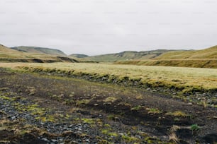 a grassy field with mountains in the background