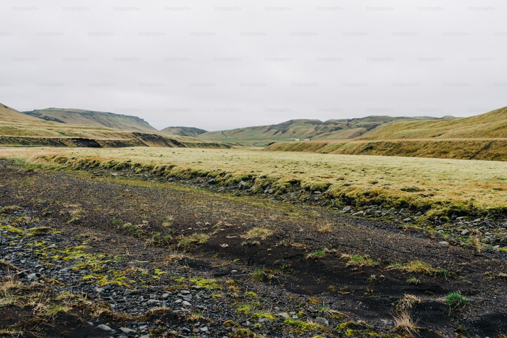 a grassy field with mountains in the background