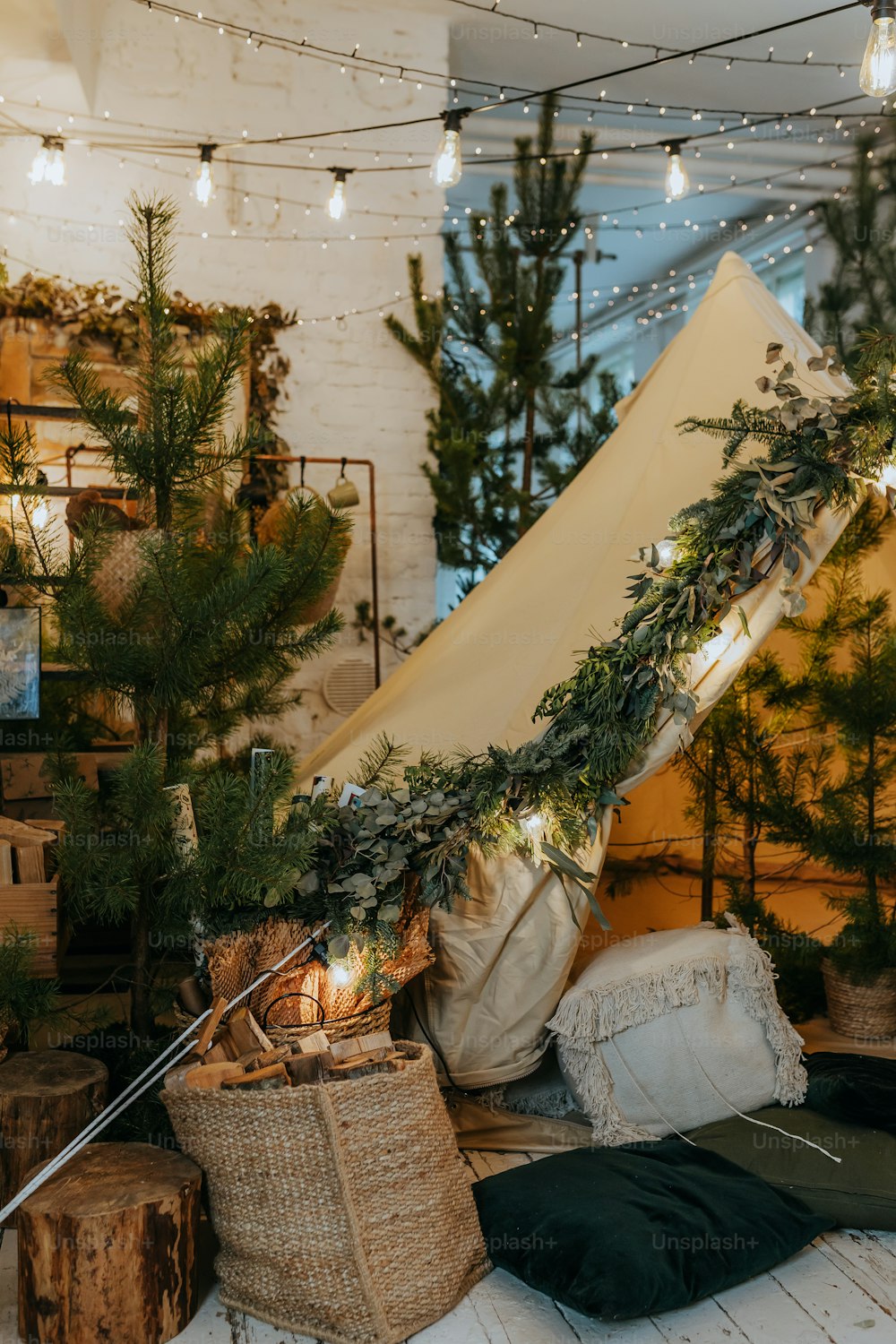 Uma tenda é montada em uma sala com árvores de Natal