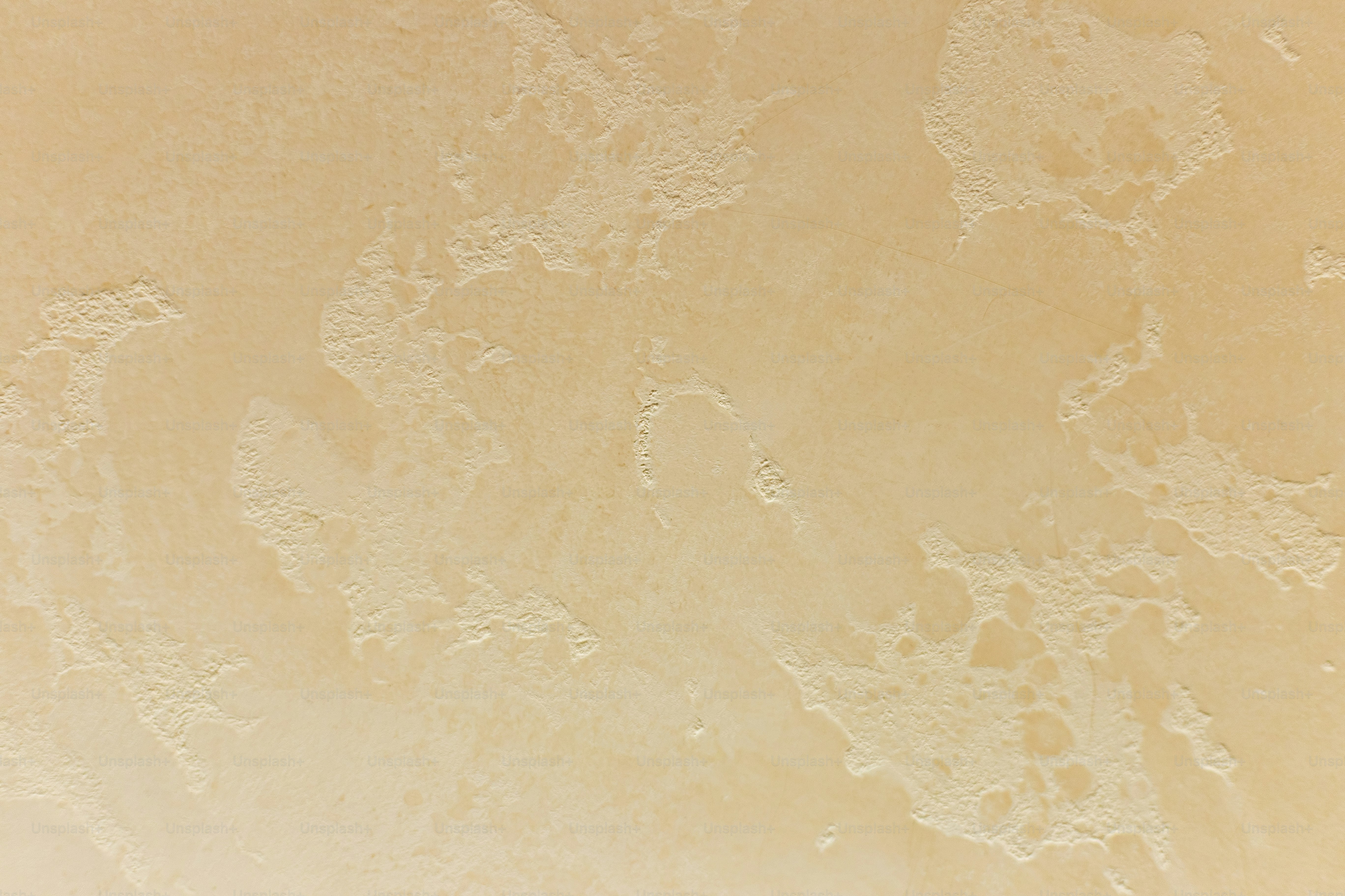 premium_photo-1700235338188-f0c2b4e6fb70?ixid=M3wxMjA3fDB8MXxzZWFyY2h8NXx8c2l0dXMlMjBxd2UxMzh8ZW58MHx8fHwxNzMzOTI2Nzg3fDA\u0026ixlib=rb-4.0.3