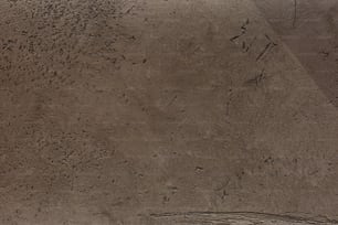 um homem andando de skate em cima de uma parede de cimento