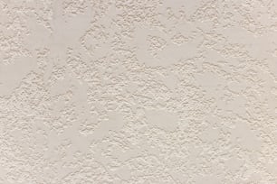 un gatto in bianco e nero seduto in cima a un muro bianco