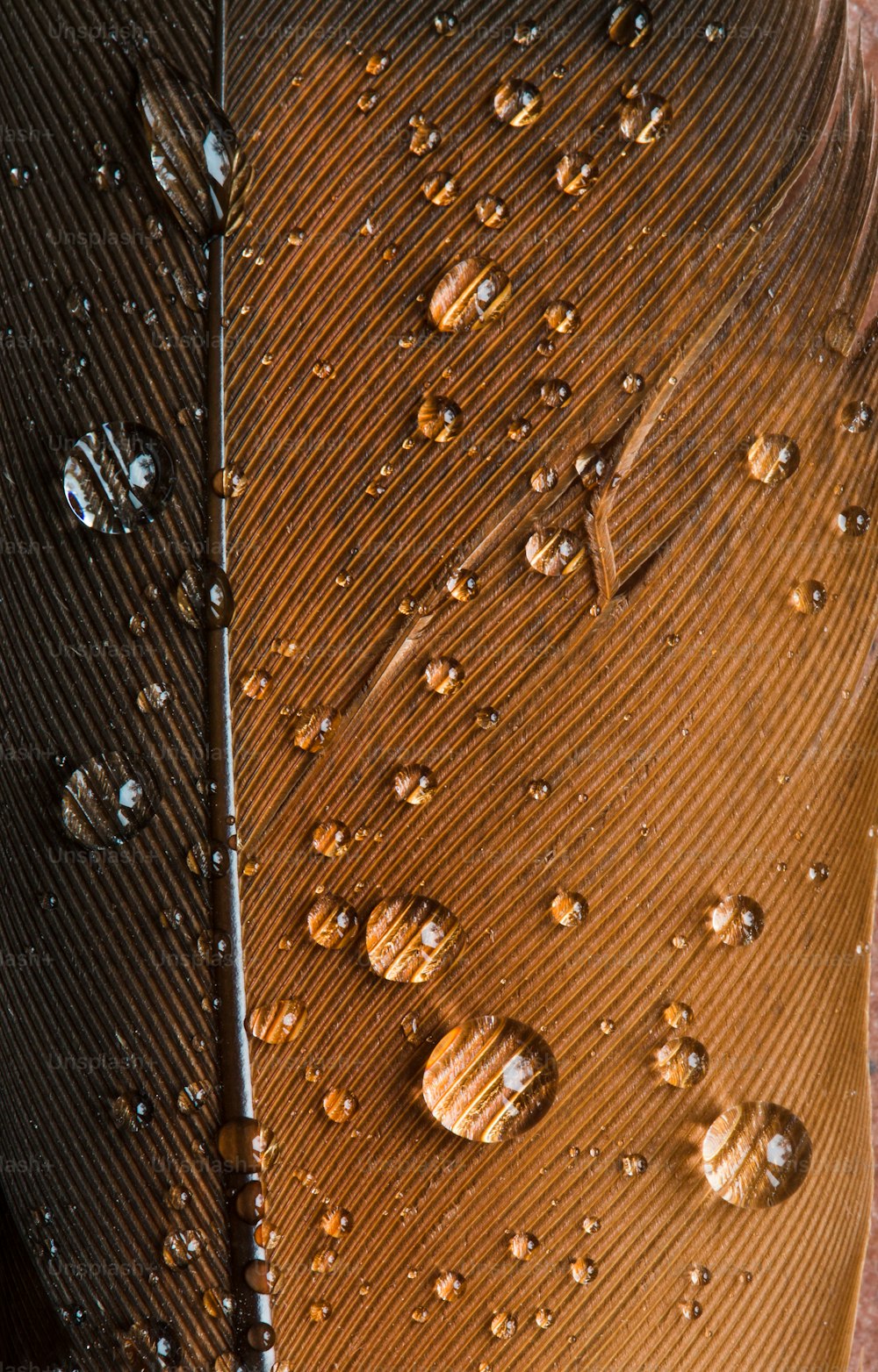 a close up of a tie with water drops on it