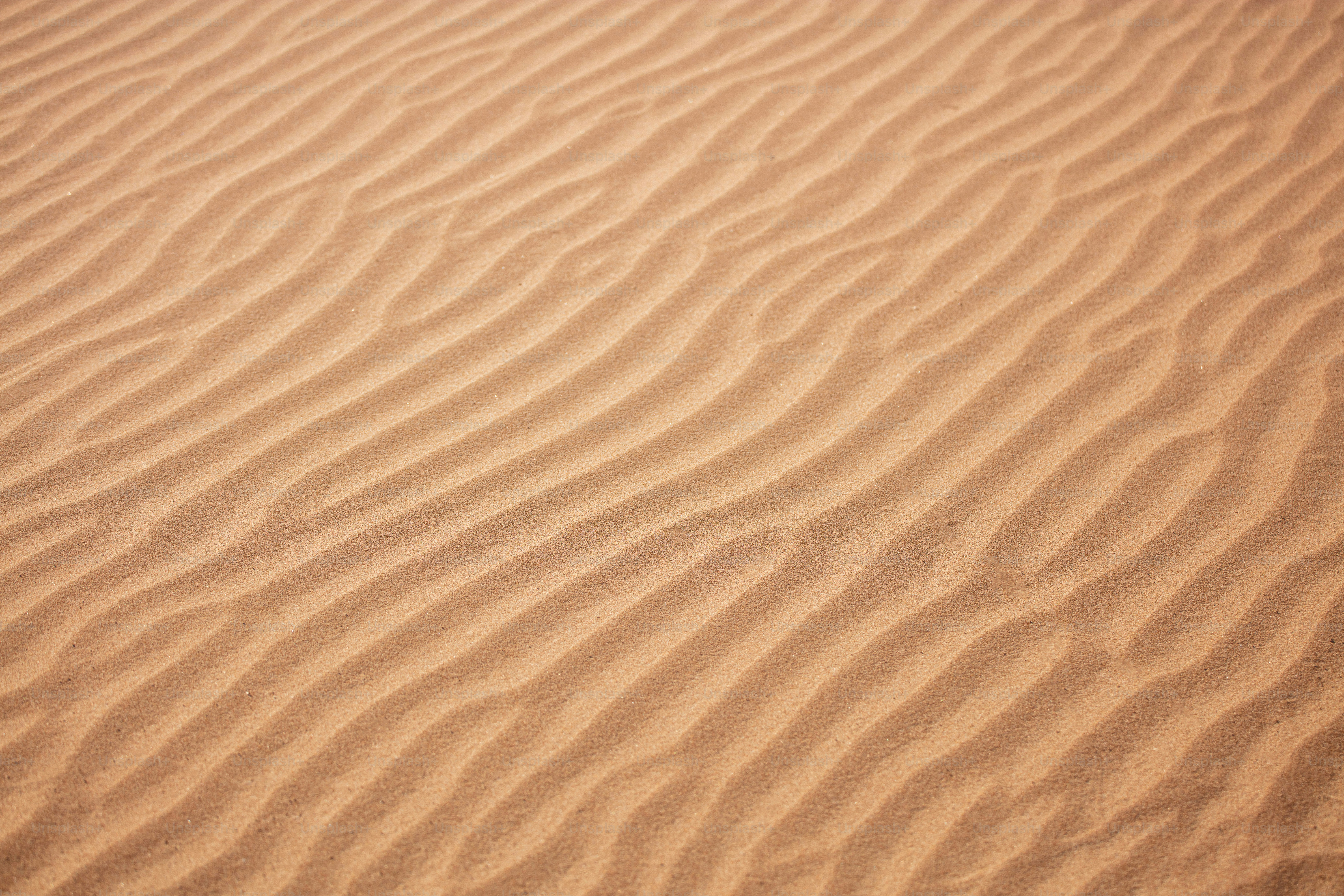 a sandy area with a few lines in the sand