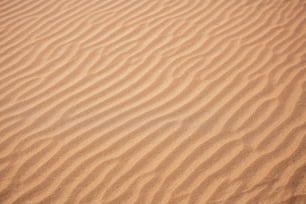 une zone sablonneuse avec quelques lignes dans le sable