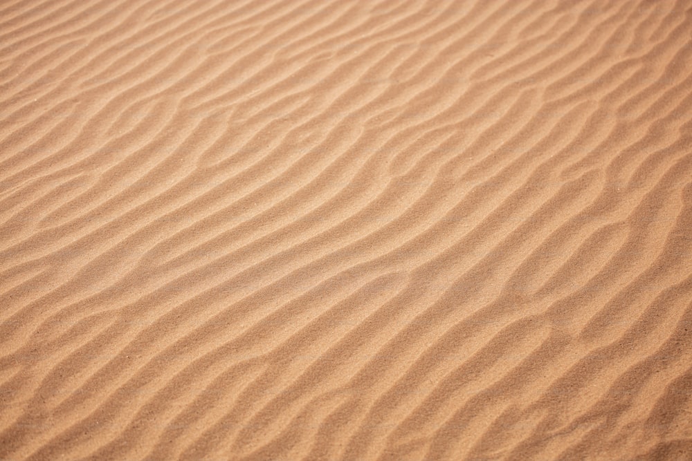 una zona sabbiosa con qualche linea nella sabbia