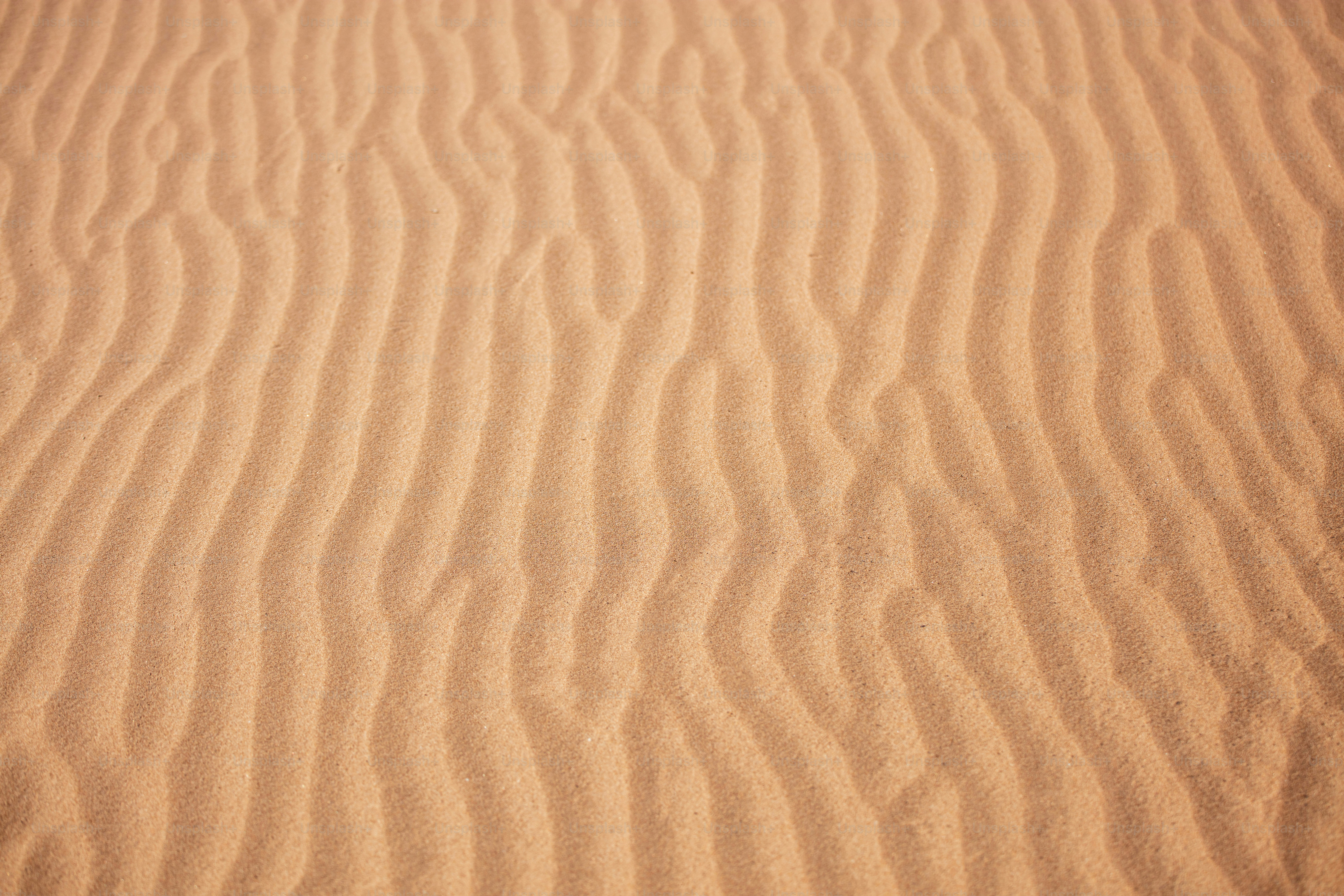 a sandy area with a small amount of sand