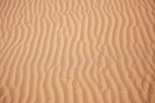 un'area sabbiosa con una piccola quantità di sabbia