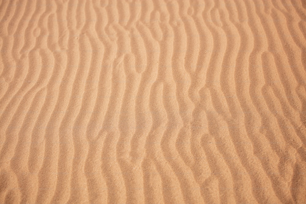 a sandy area with a small amount of sand