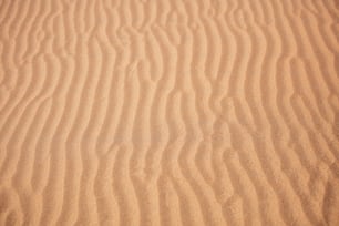 a sandy area with a small amount of sand