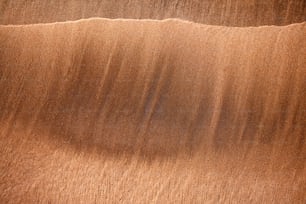 a close up of a sand dune with a sky background