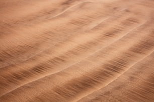 a close up view of a sand dune