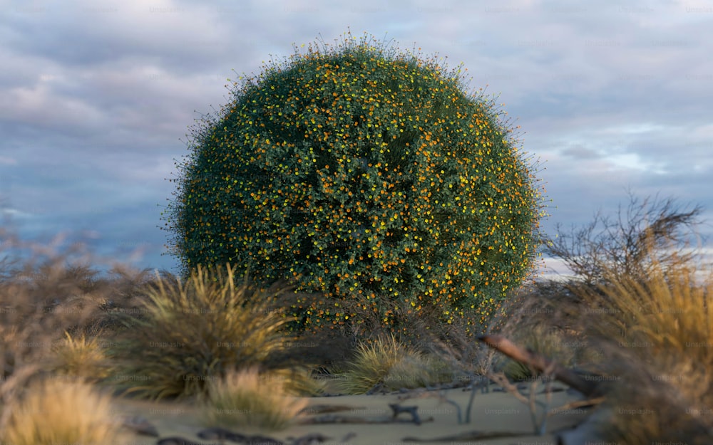 a large green tree in the middle of a desert