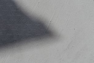 a shadow of a person holding a tennis racquet