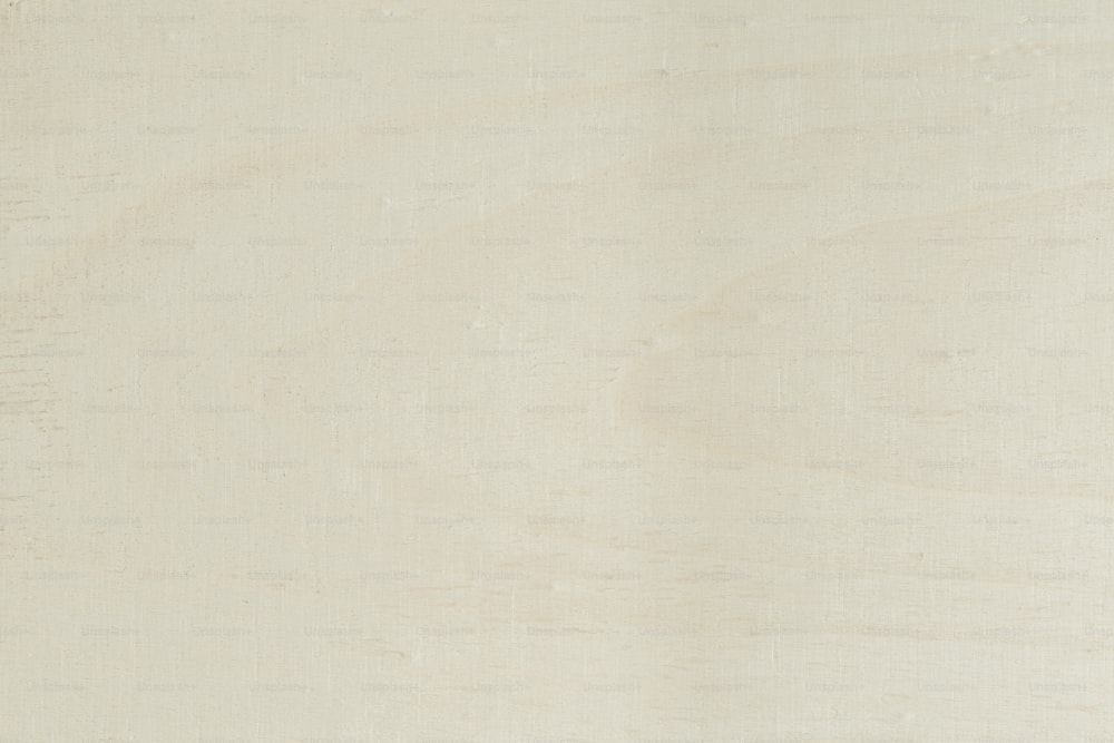 un primo piano di un pezzo di legno con uno sfondo bianco