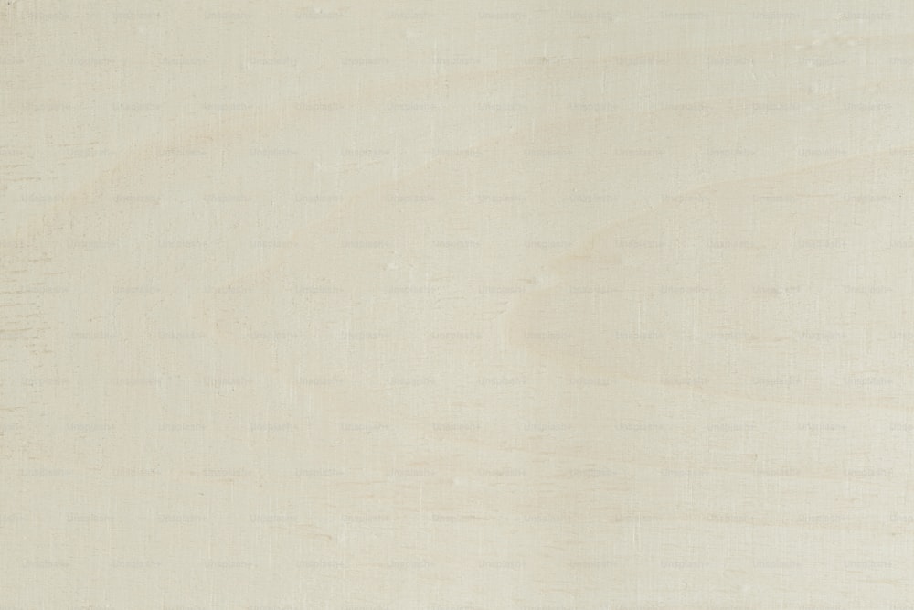 Nahaufnahme eines Holzstücks mit weißem Hintergrund