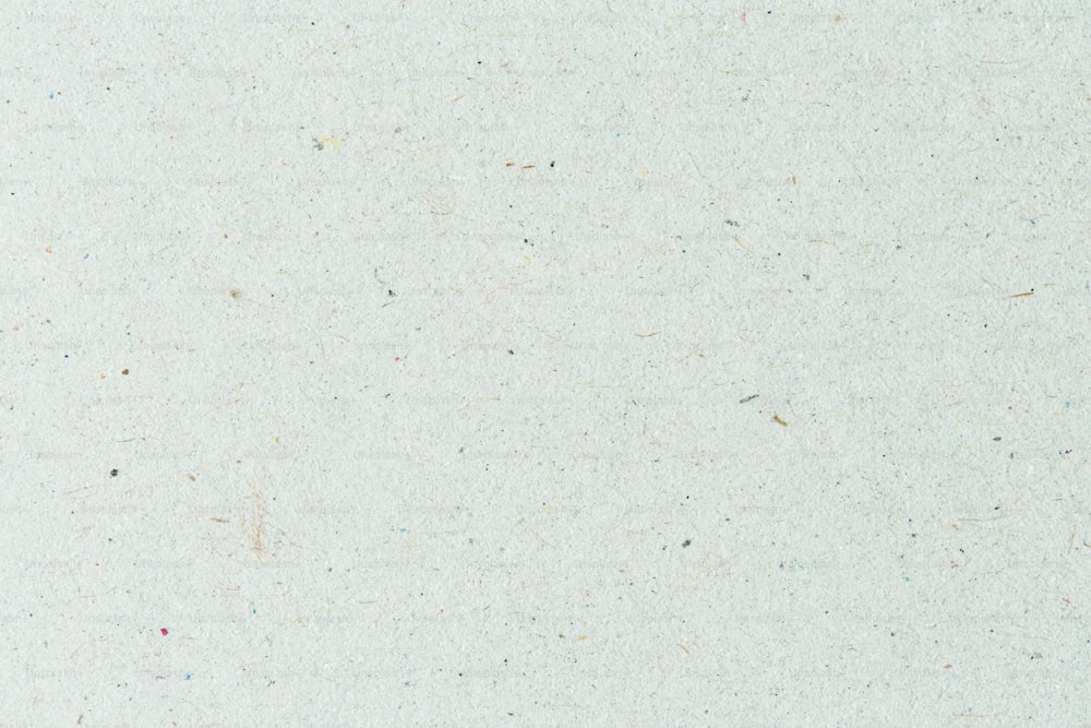 a white background with small speckles of paint