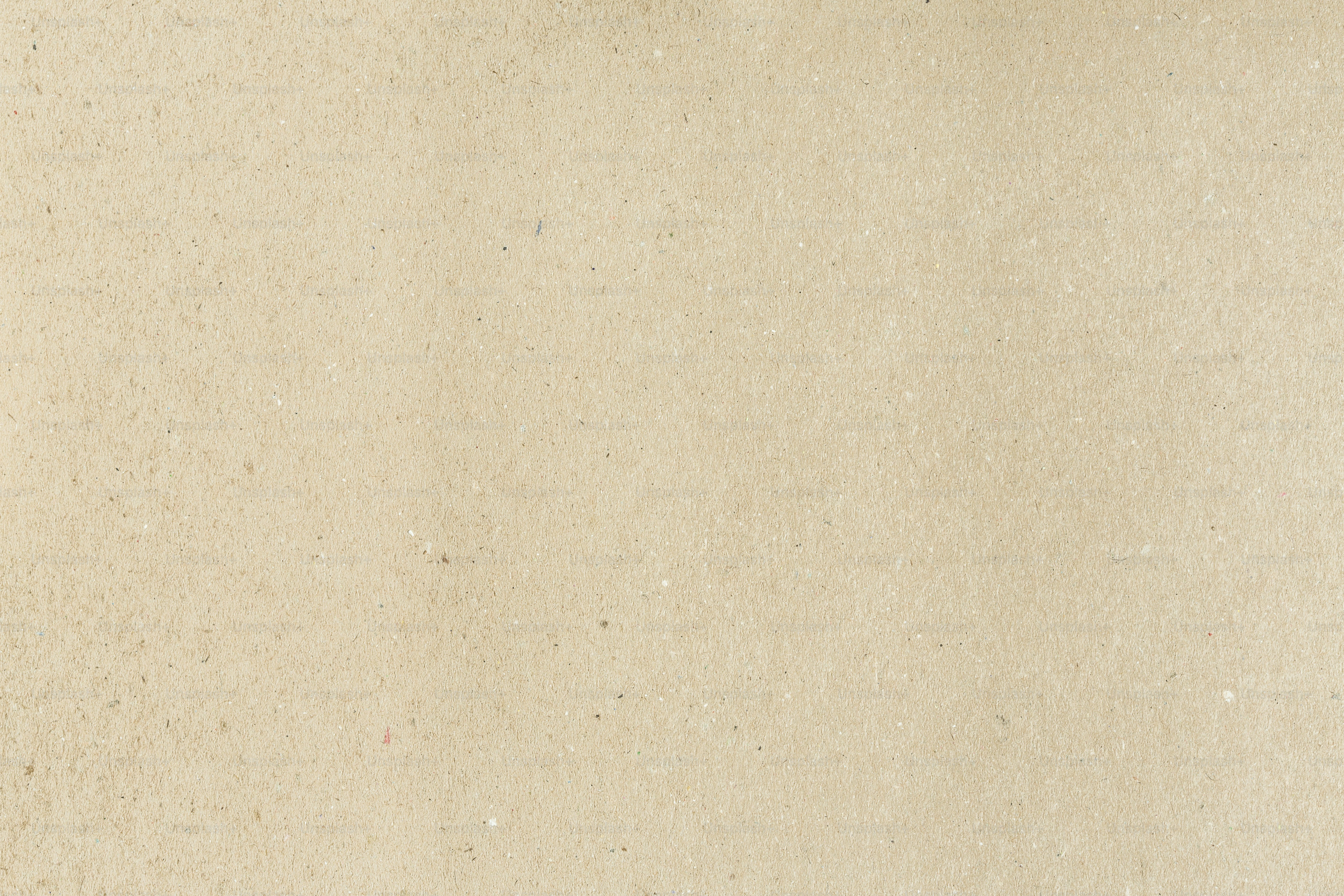 un oiseau est perché sur une branche d’arbre