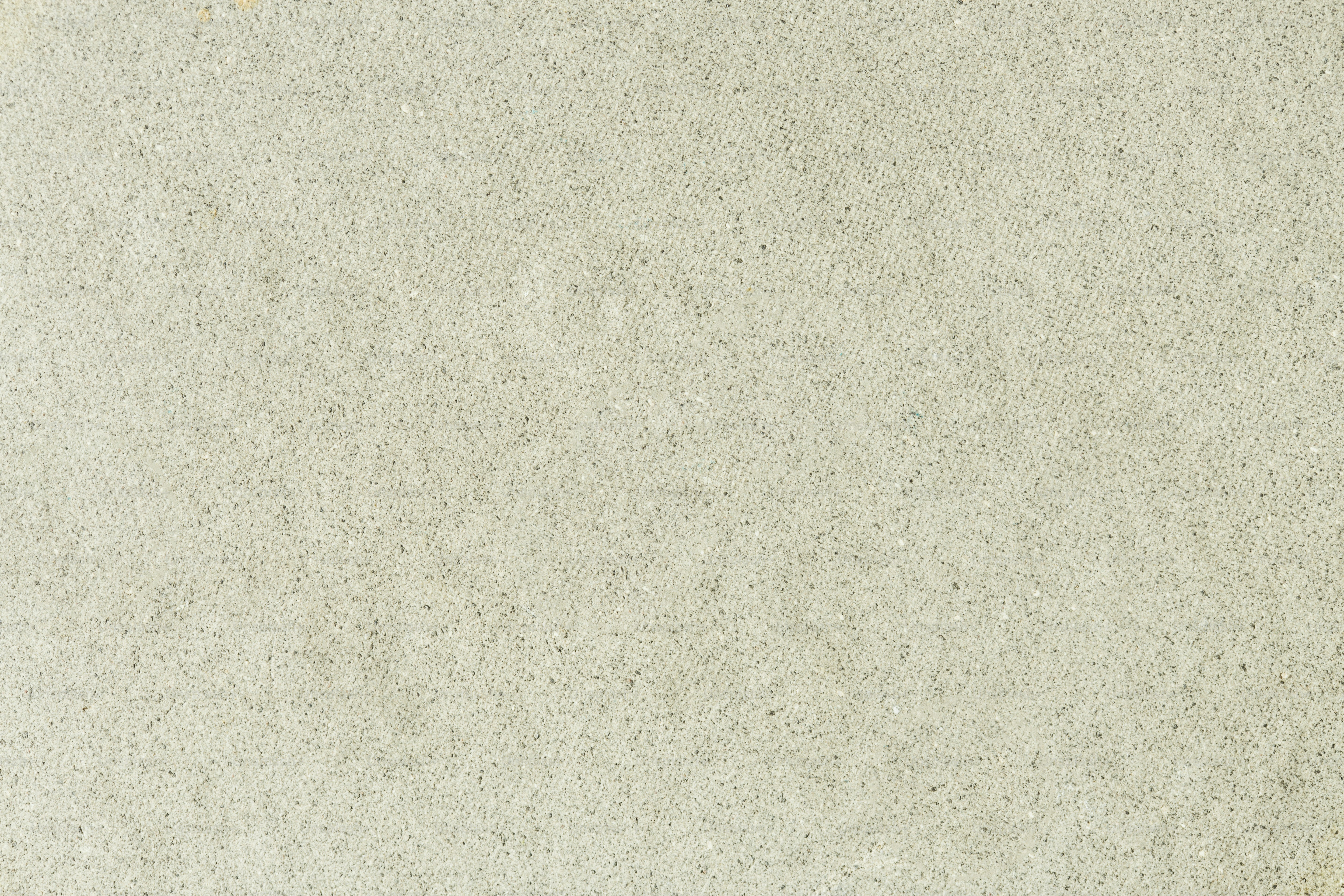 a bird is sitting on a tree branch