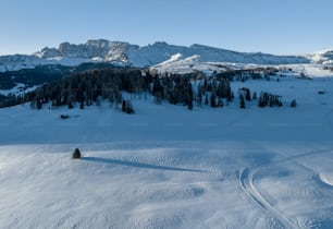 雪道をスキーで滑る人