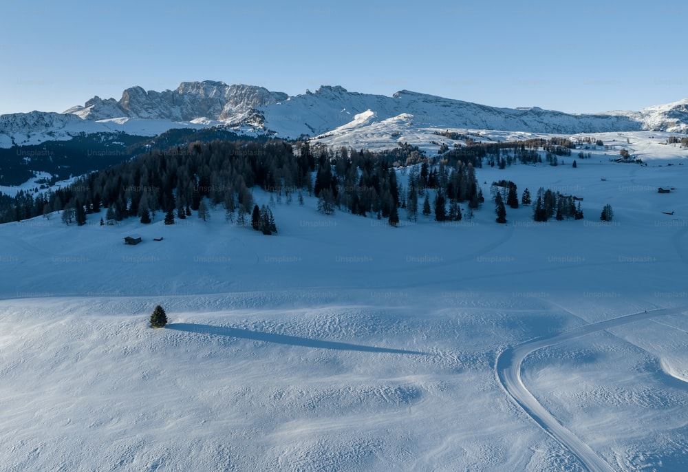 a person riding skis on a snowy surface