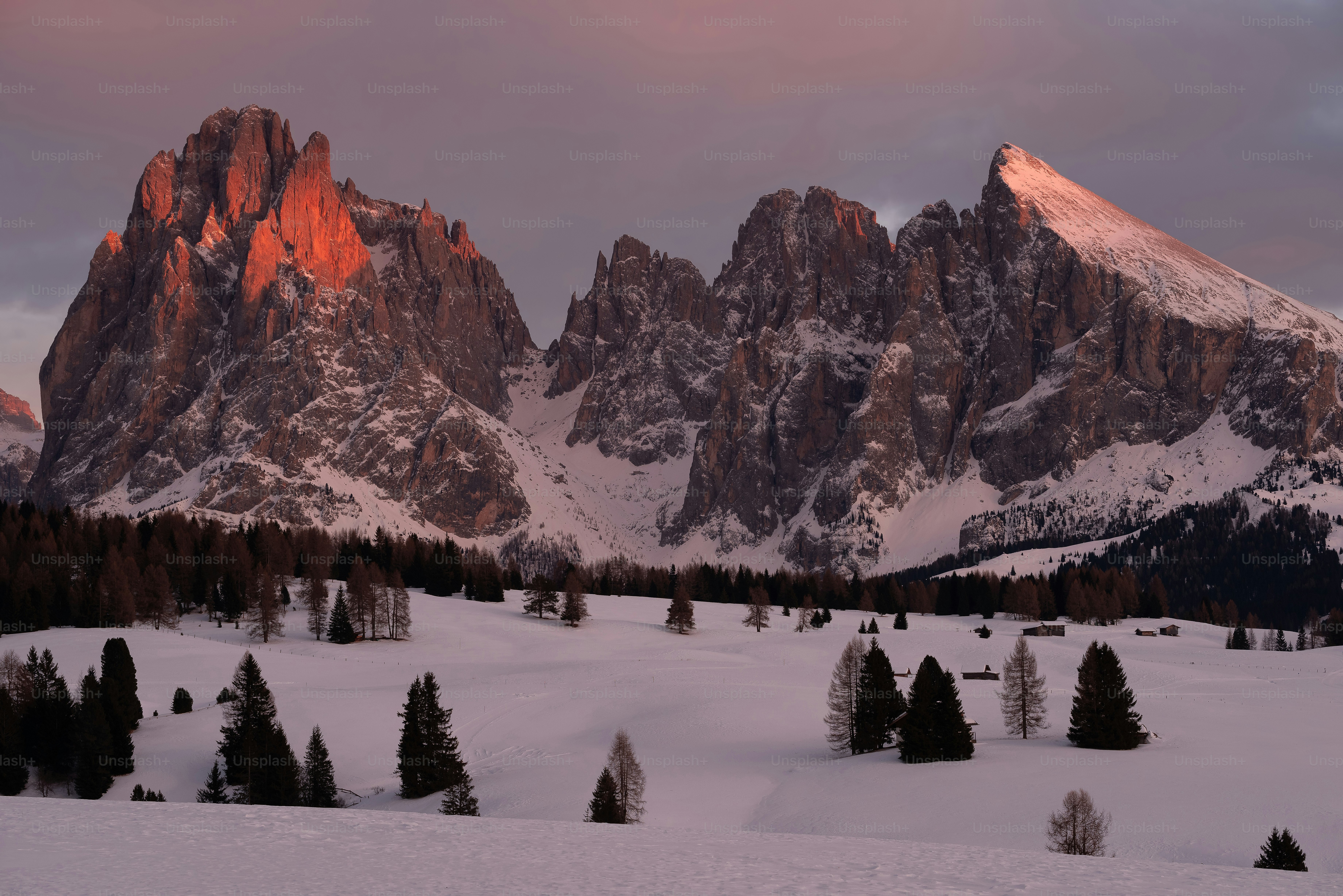 A mountain range covered in snow with trees in the foreground photo ...