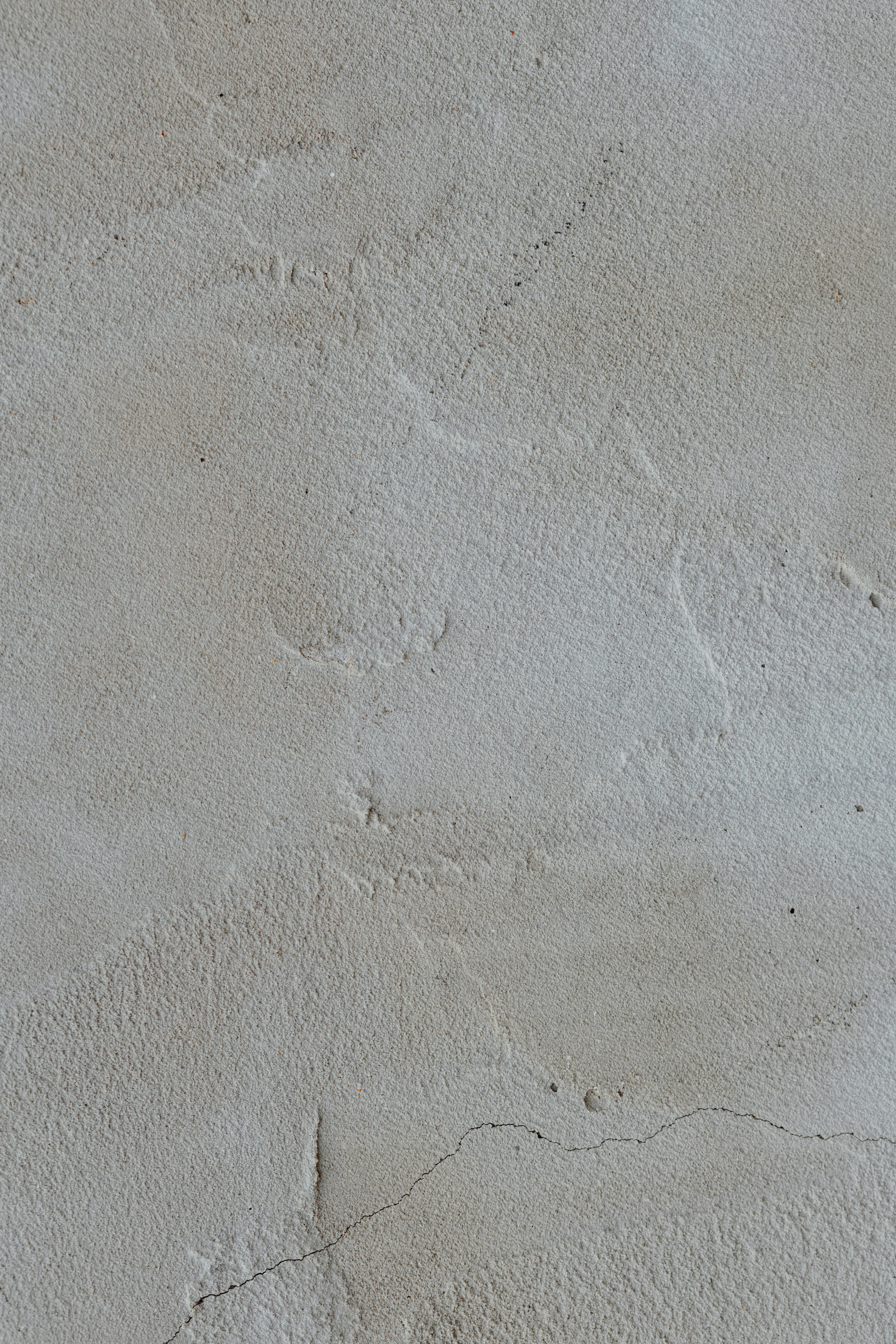 eine schwarz-weiße Katze, die auf einer weißen Wand liegt