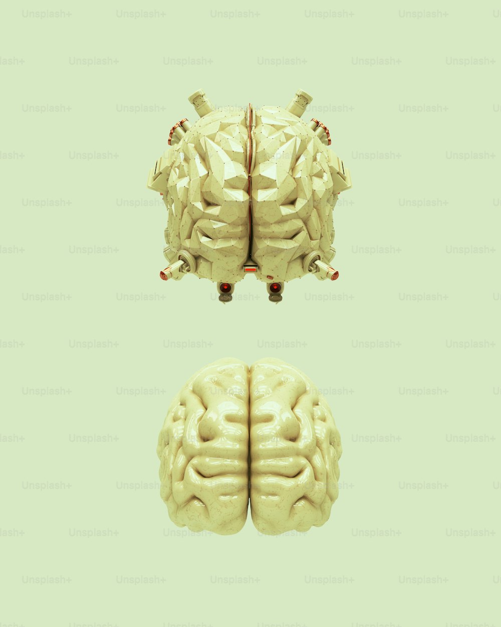Zwei Bilder desselben menschlichen Gehirns