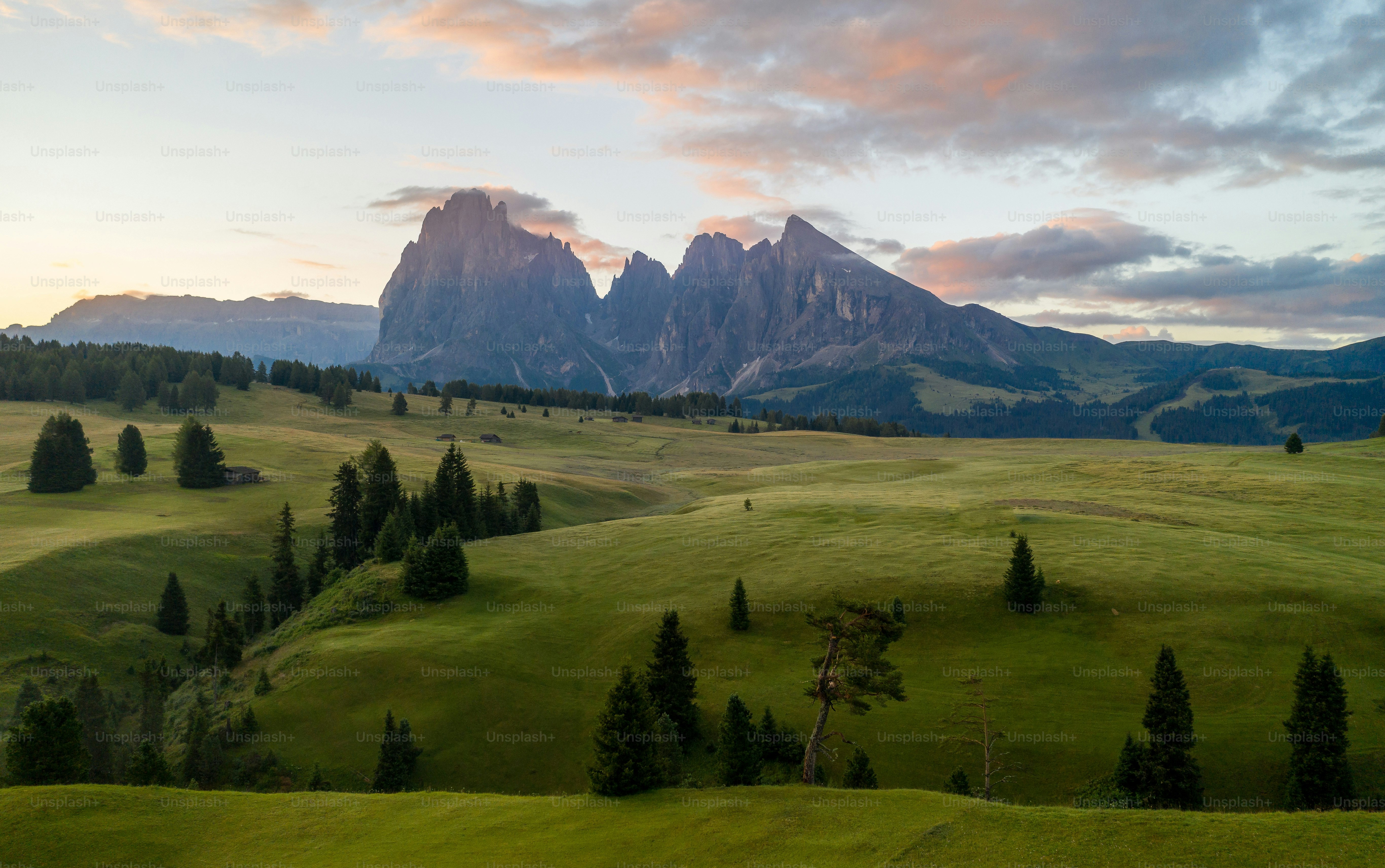 a grassy field with mountains in the background