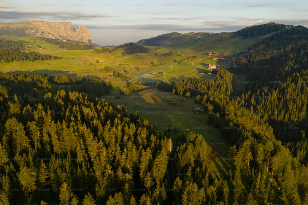 an aerial view of a green valley surrounded by trees