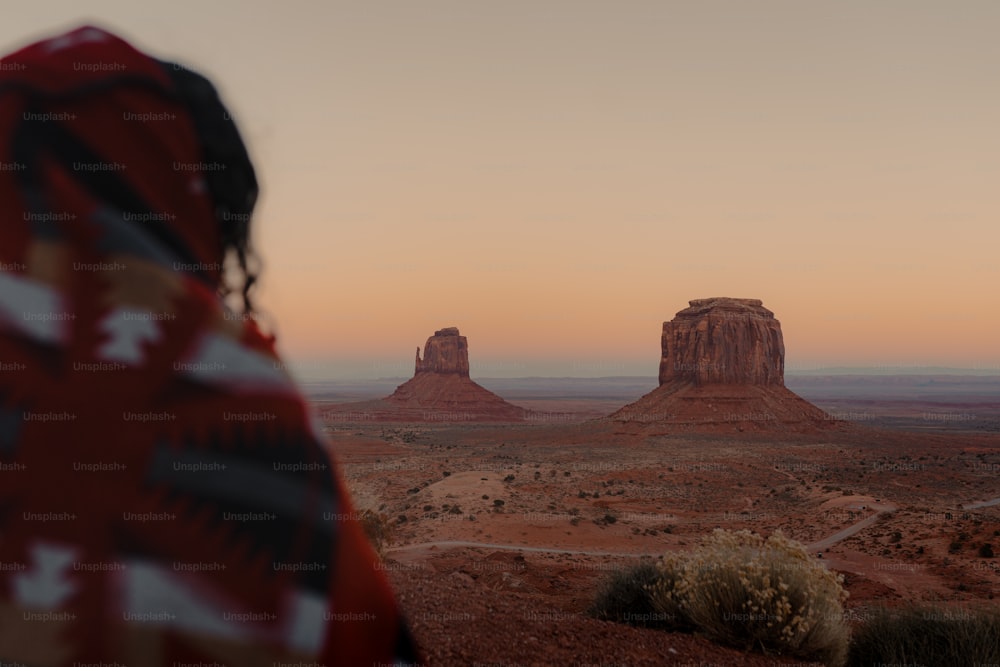 a person standing in front of a desert landscape