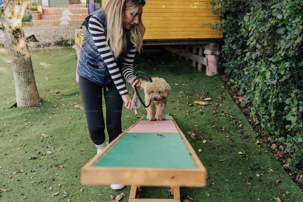 a woman playing with a dog on a trampoline