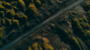 Una veduta aerea di una strada circondata dal muschio