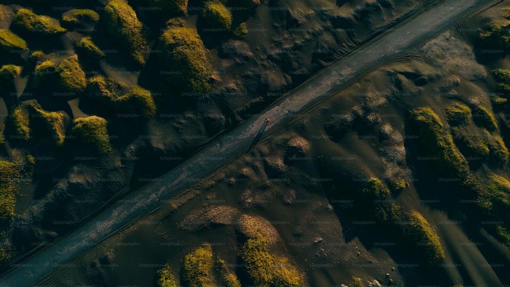 an aerial view of a road surrounded by moss