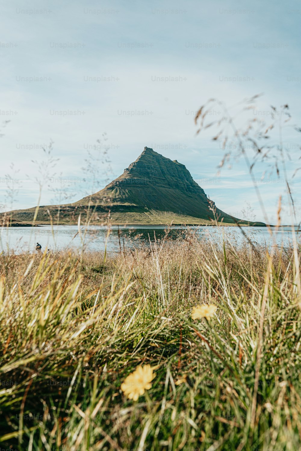 a grassy field with a mountain in the background