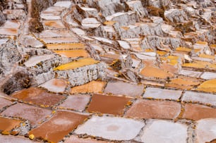 a cobblestone walkway with yellow and brown tiles