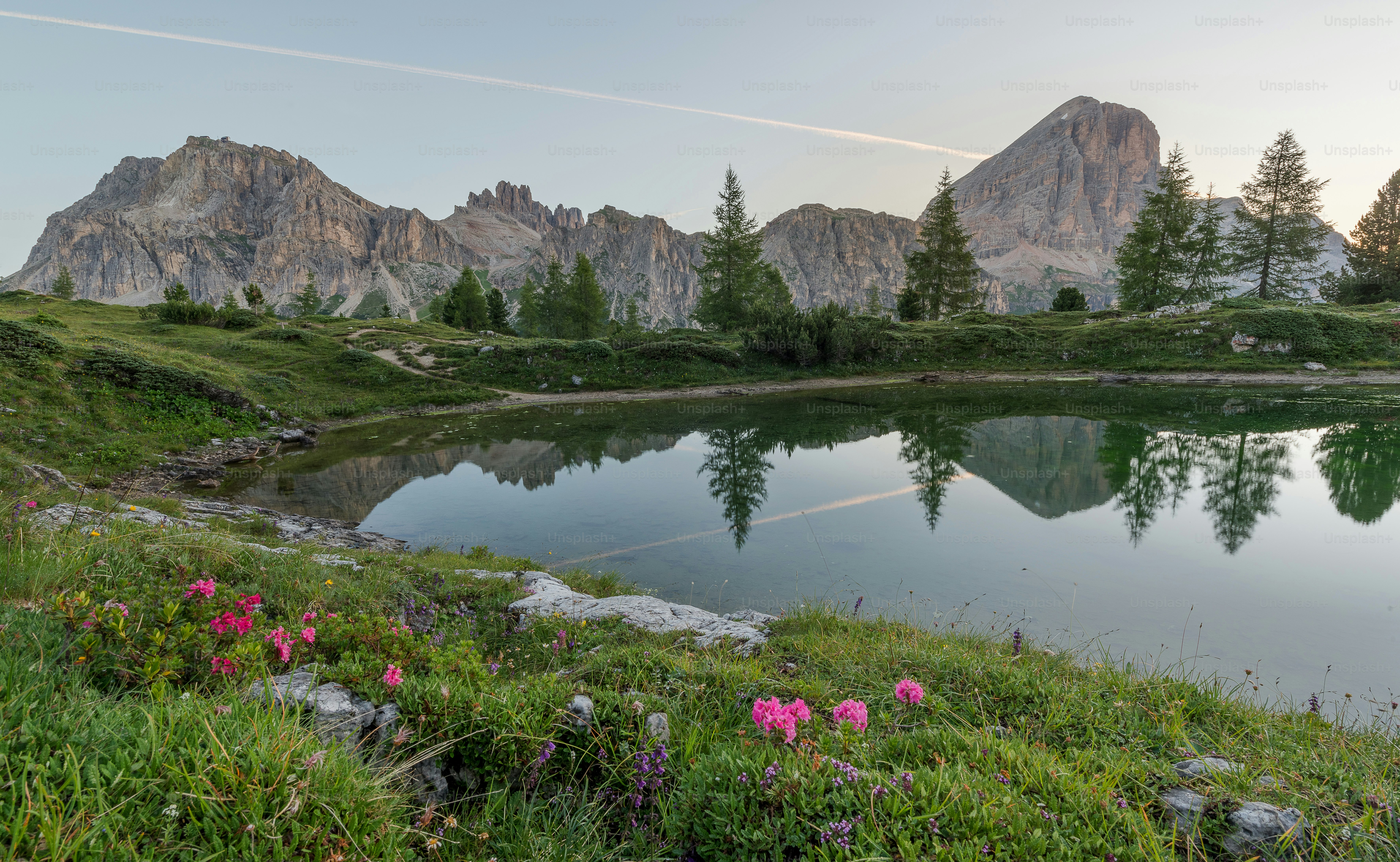 a lake surrounded by mountains with pink flowers