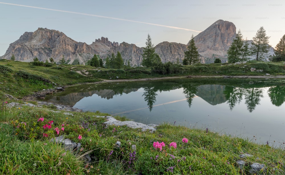 a lake surrounded by mountains with pink flowers