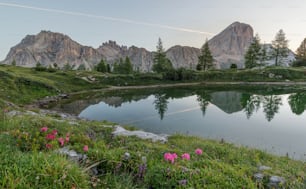 a lake surrounded by mountains with pink flowers