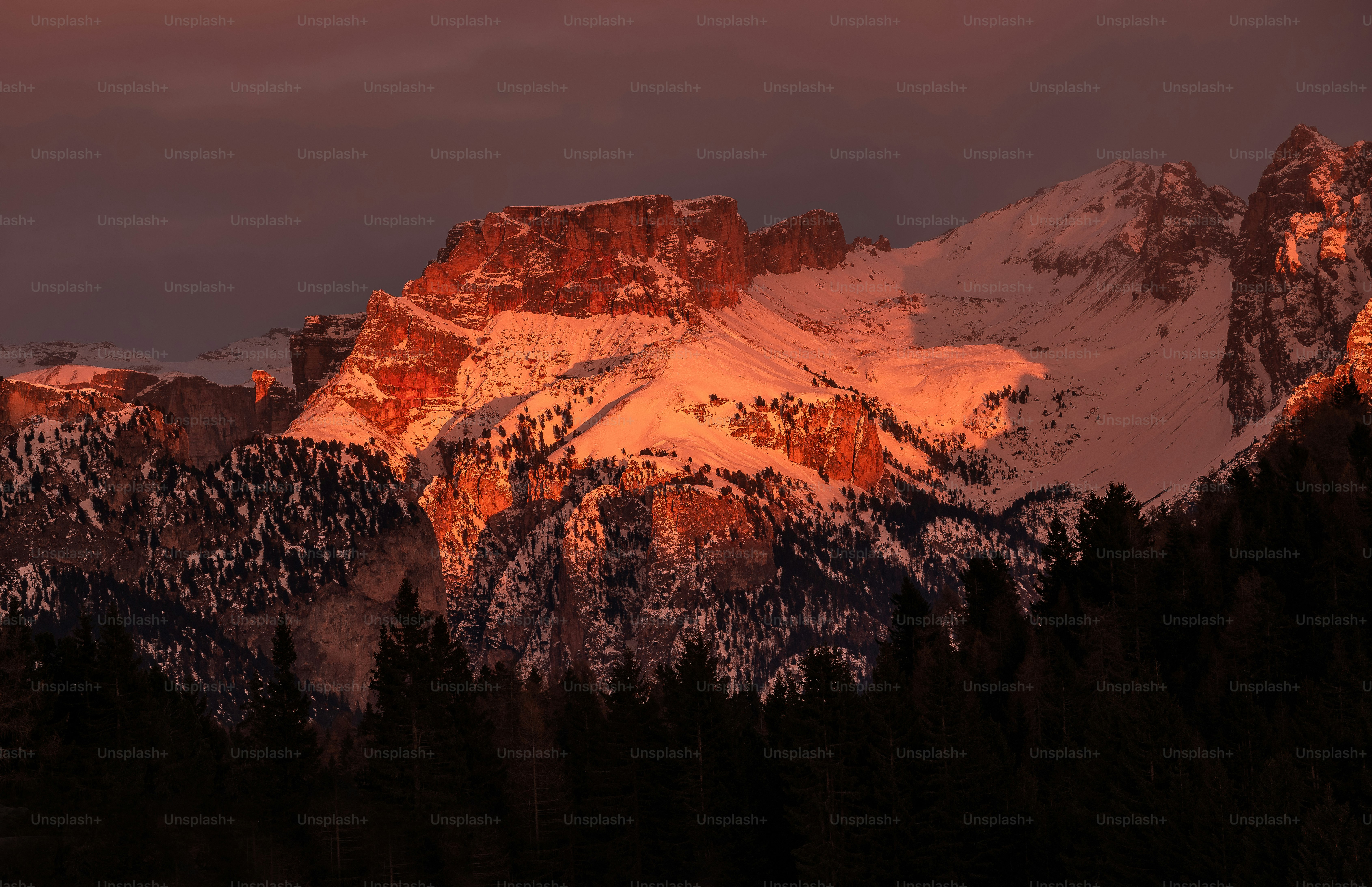 a snow covered mountain with trees in the foreground