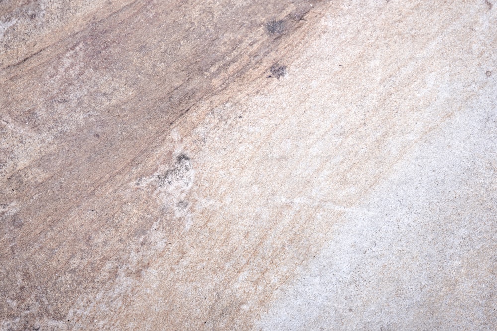 a bird is sitting on a stone surface