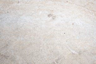 Impronte di una zampa di cane su una superficie di marmo bianco