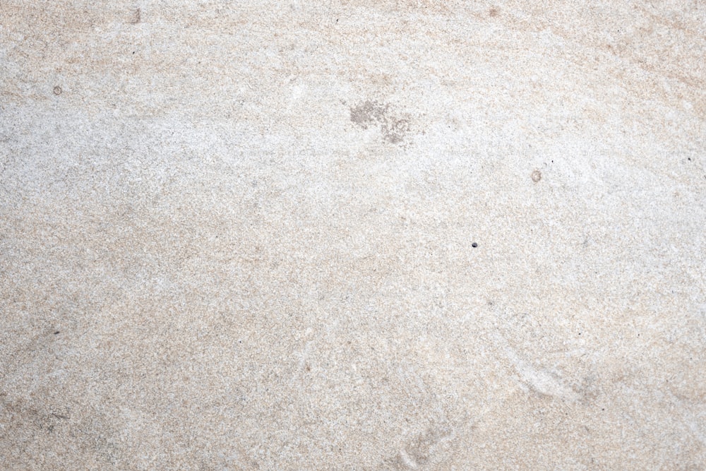 Impronte di una zampa di cane su una superficie di marmo bianco
