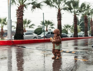 a little boy that is standing in the rain