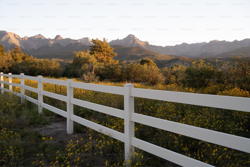 a white fence in a field with mountains in the background