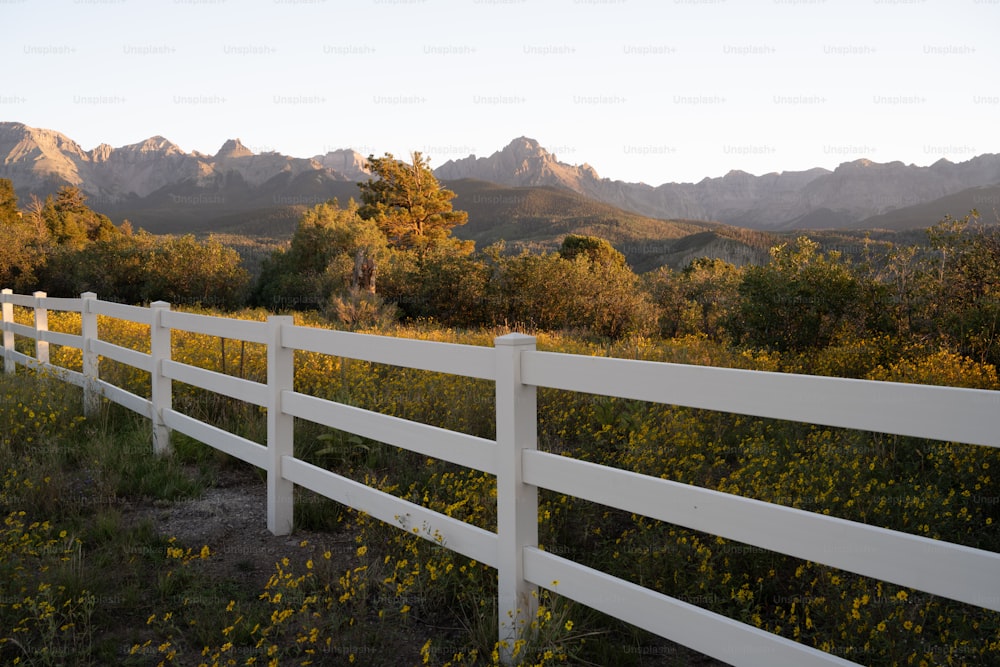a white fence in a field with mountains in the background