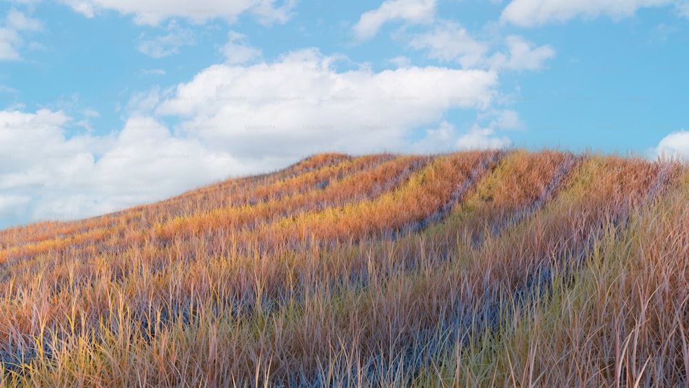 a hill covered in tall grass under a cloudy blue sky